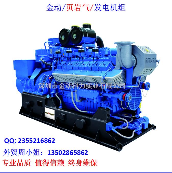 【深圳頁(yè)巖氣發(fā)電機(jī)】 發(fā)展趨勢(shì)無(wú)懈可擋！