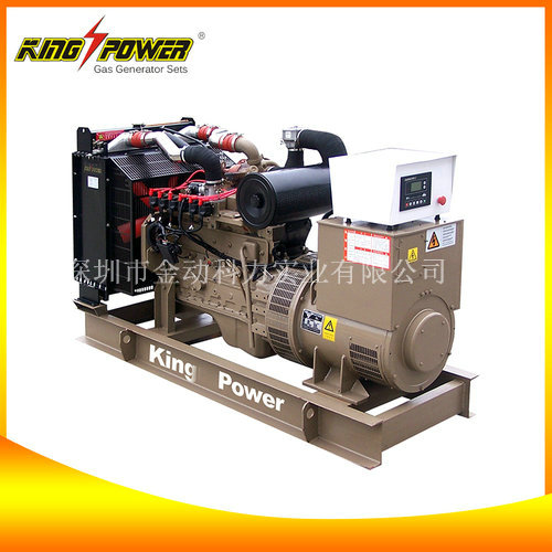 廣東沼氣發(fā)電機(jī),沼氣發(fā)電機(jī)價格
